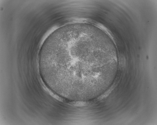 X0000079311235200612151744