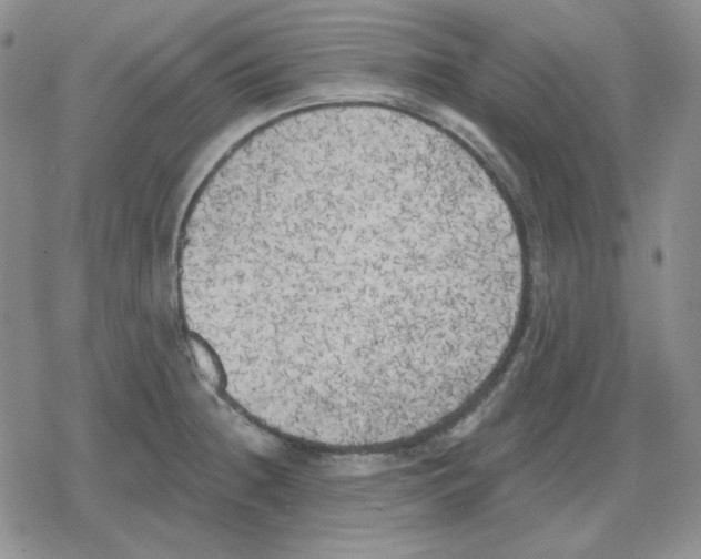 X0000079311236200612151744