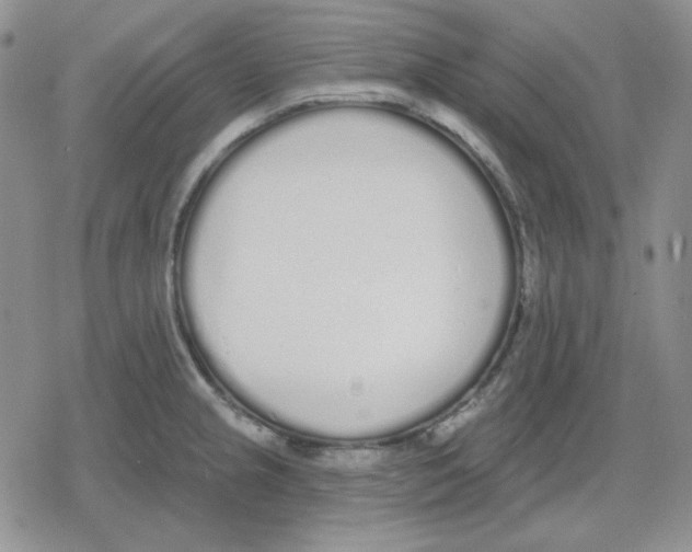 X0000079311237200612151744