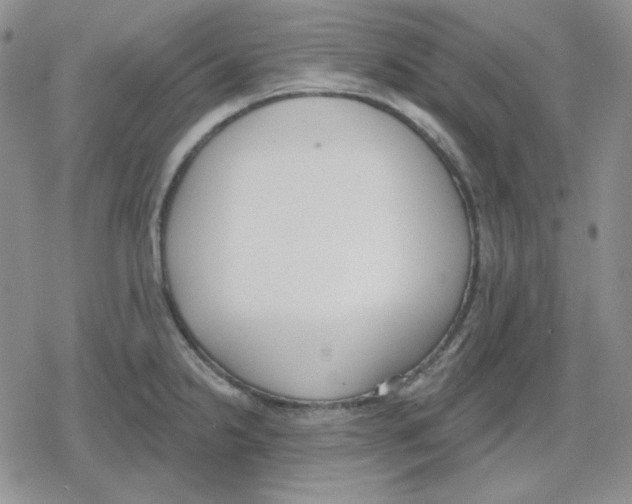 X0000079311238200612151744