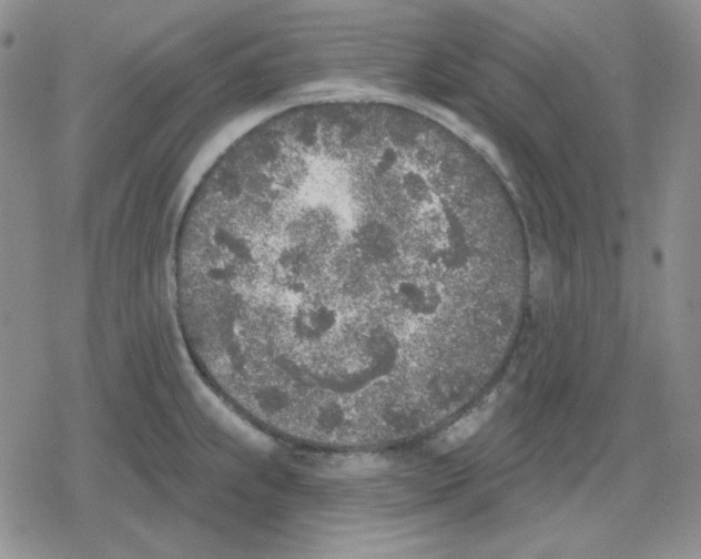 X0000079311239200612151744