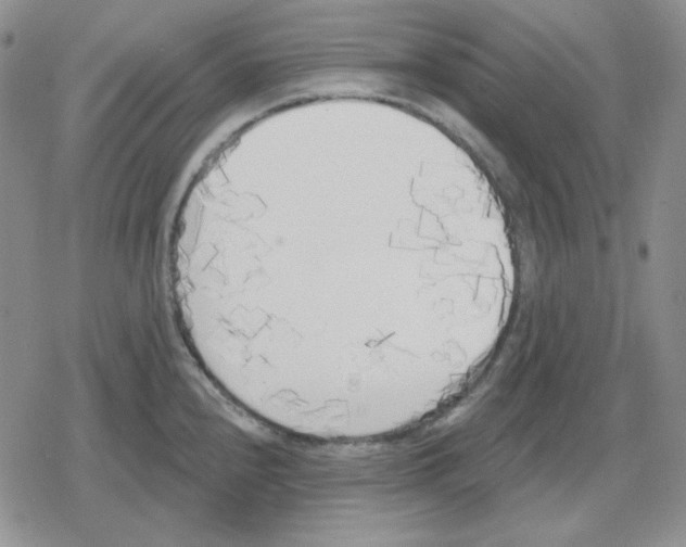 X0000079311240200612151744