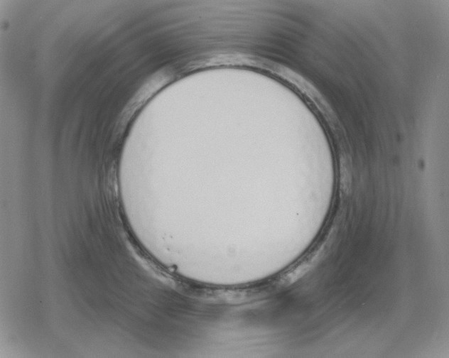 X0000079311241200612151744