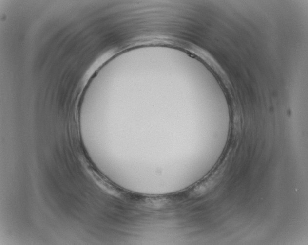 X0000079311242200612151744