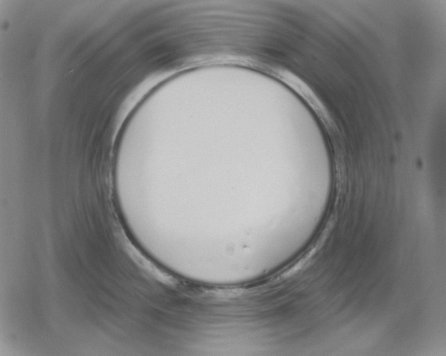 X0000079311244200612151744