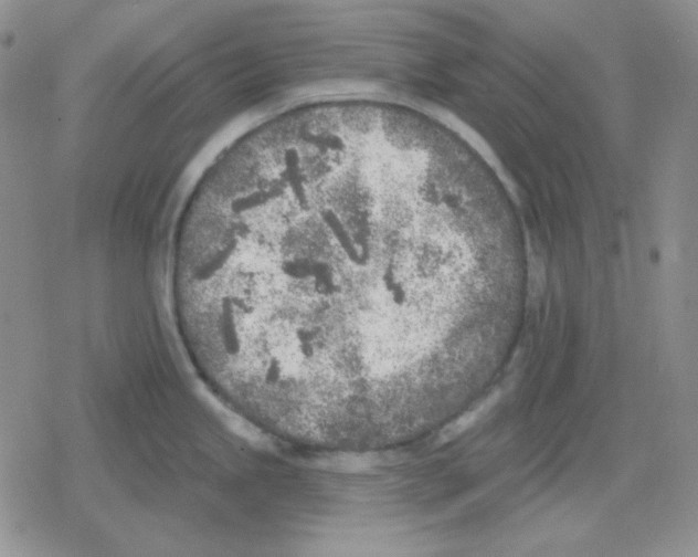 X0000079311245200612151744