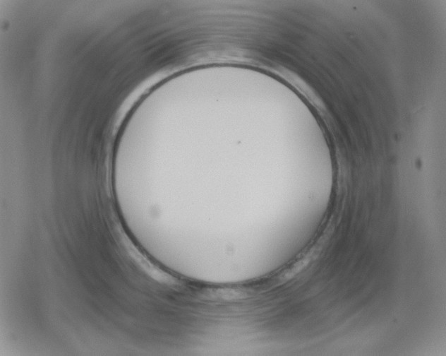 X0000079311246200612151744