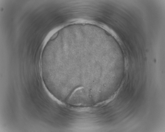 X0000079311247200612151744