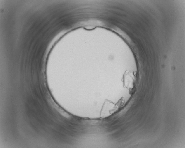 X0000079311248200612151744