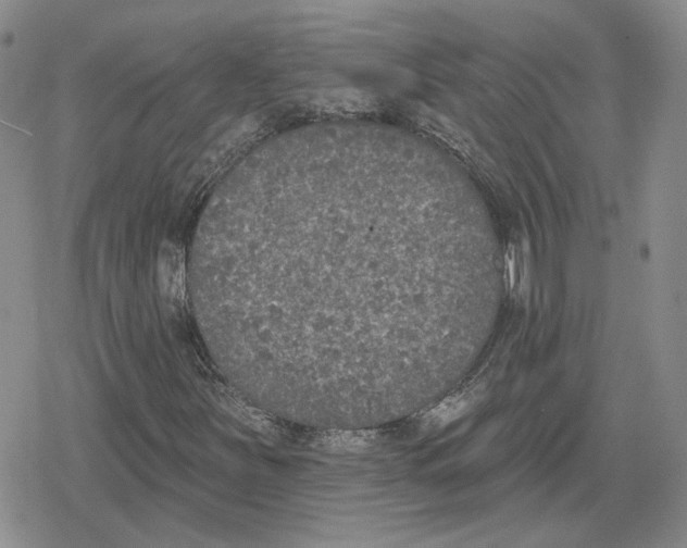 X0000079311251200612151743
