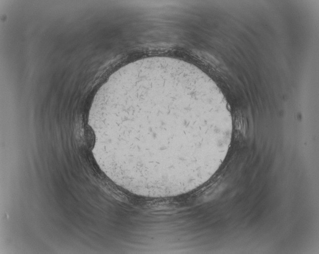 X0000079311252200612151743