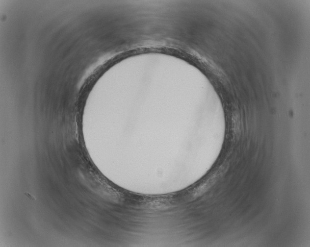 X0000079311262200612151743