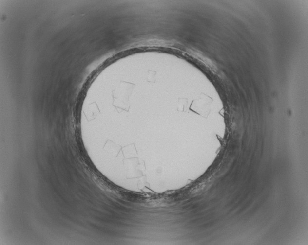 X0000079311264200612151743