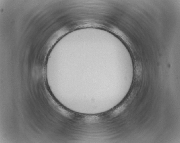 X0000079311282200612151743