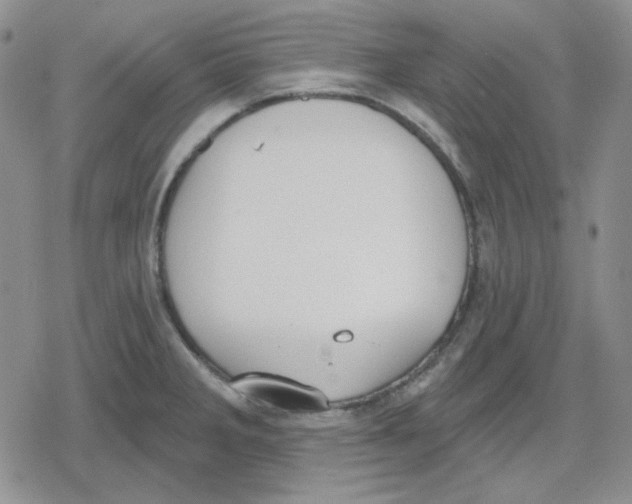 X0000079311285200612151743