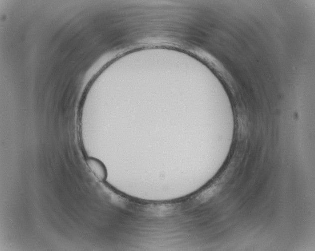 X0000079311286200612151743