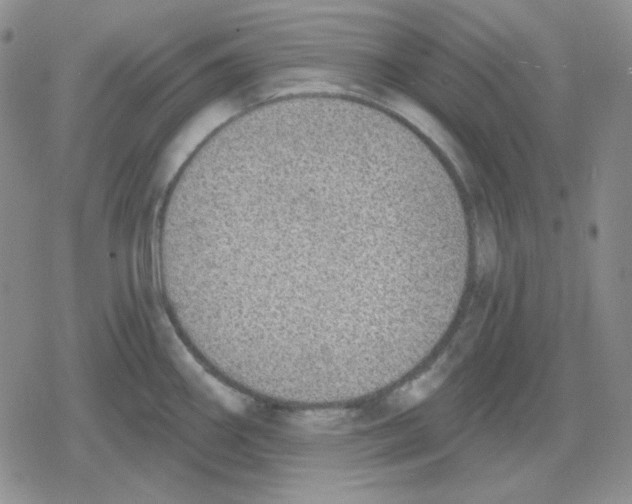 X0000079311290200612151743