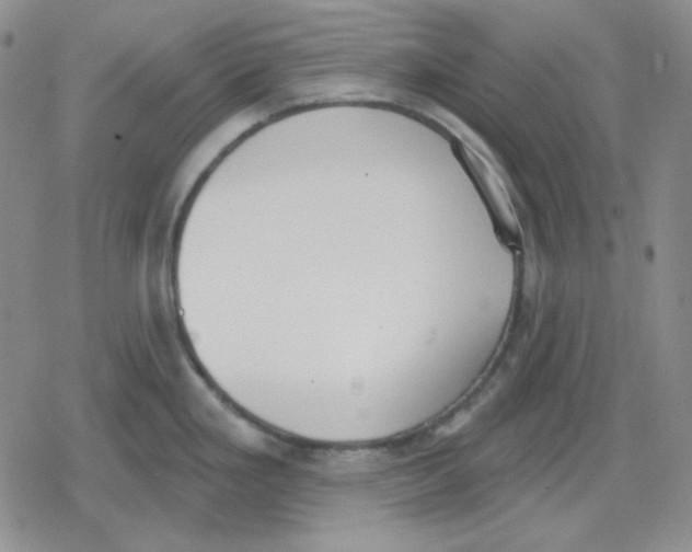 X0000079311293200612151743