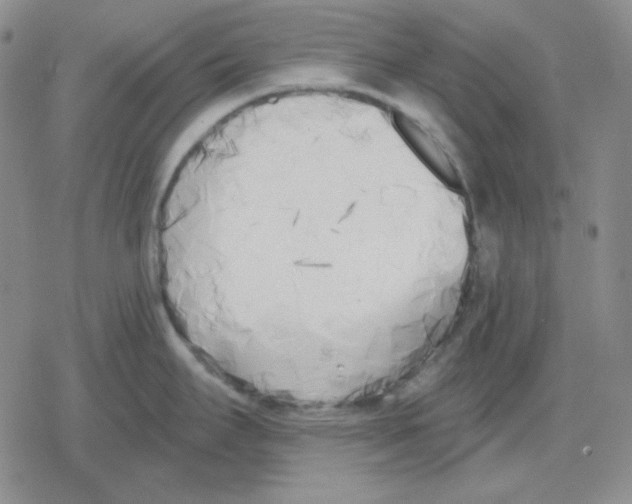 X0000079311295200612151743