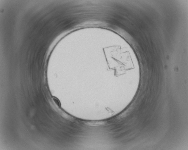 X0000079311296200612151743