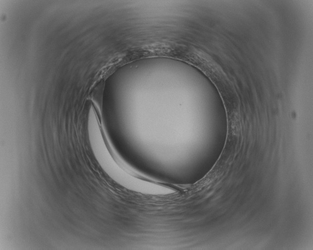 X0000079311298200612151742