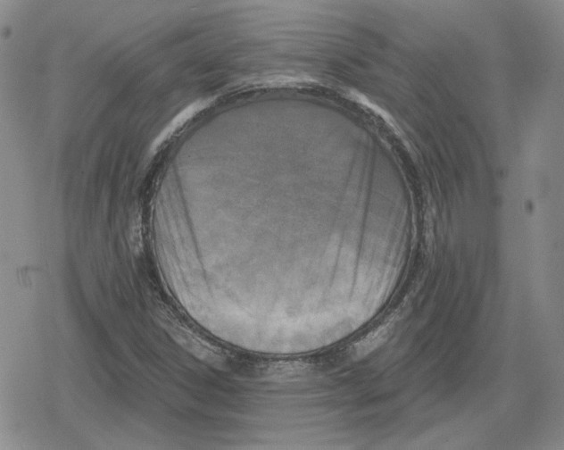 X0000079311306200612151742