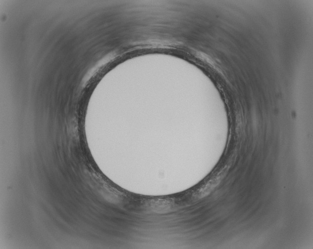 X0000079311307200612151742