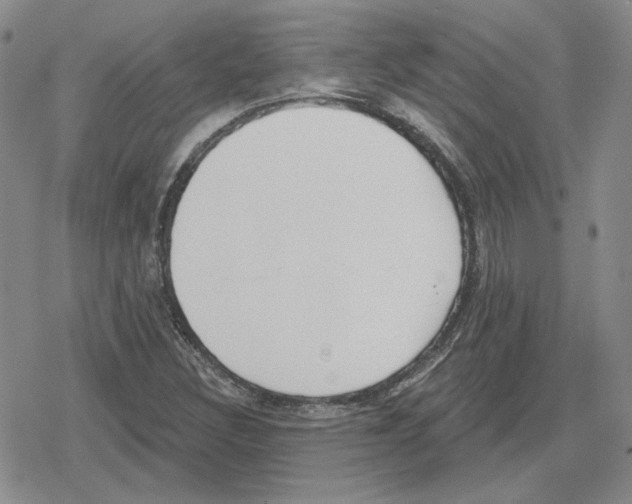 X0000079311308200612151742