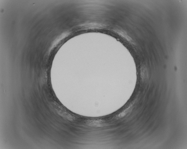 X0000079311309200612151742
