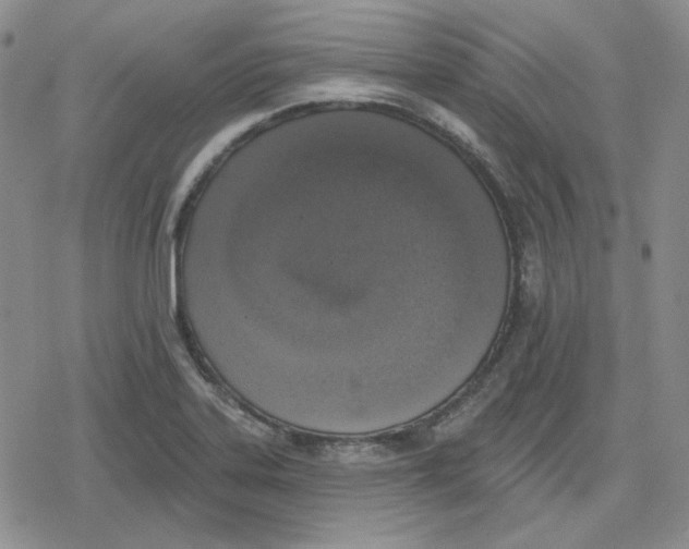 X0000079311323200612151742