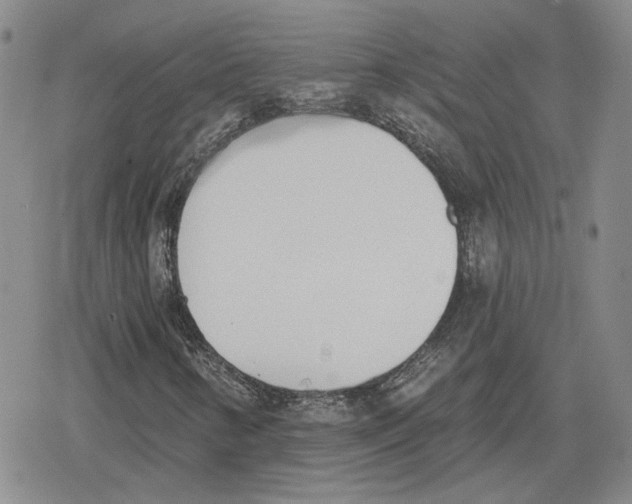 X0000079311346200612151742