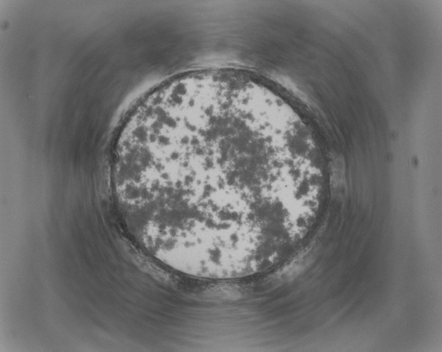 X0000079311358200612151742