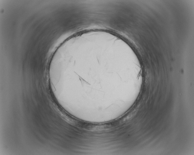 X0000079311367200612151741