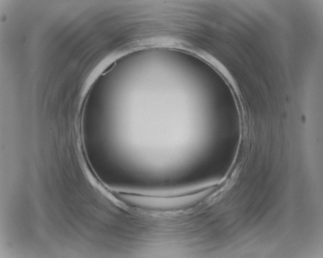 X0000079311389200612151741