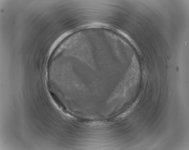 X0000079311418200612151741