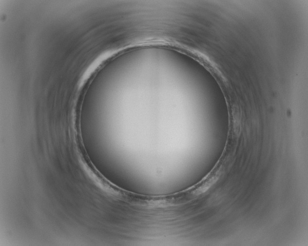 X0000079311422200612151741