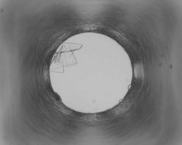 X0000079311444200612151740
