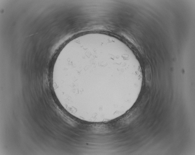 X0000079311452200612151740