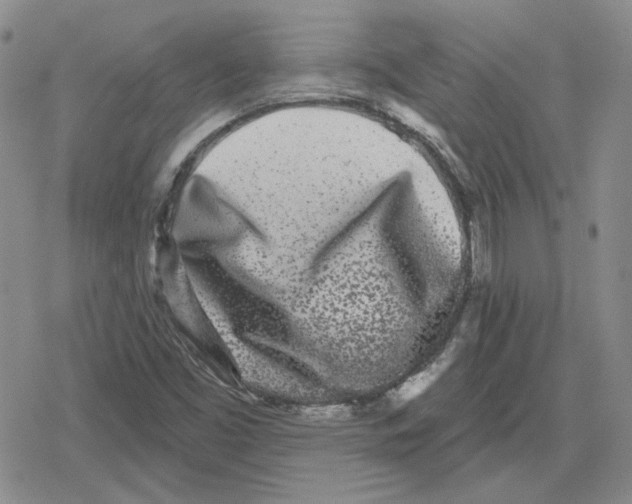 X0000079311453200612151740