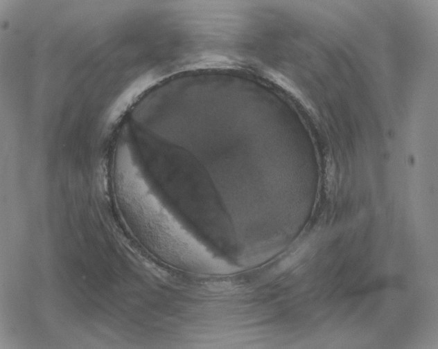 X0000079311455200612151740