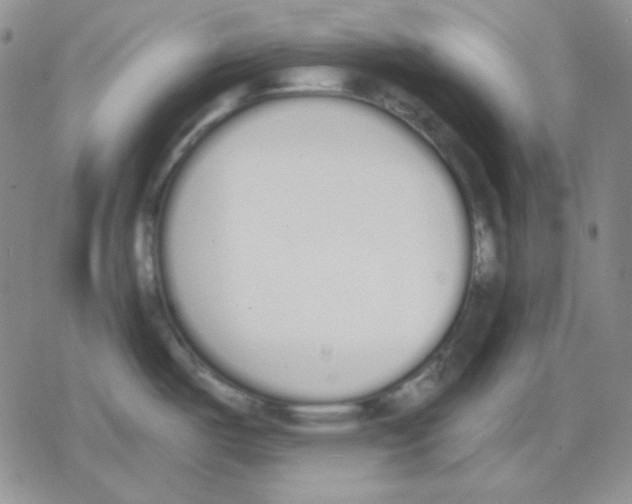 X0000079311487200612151739