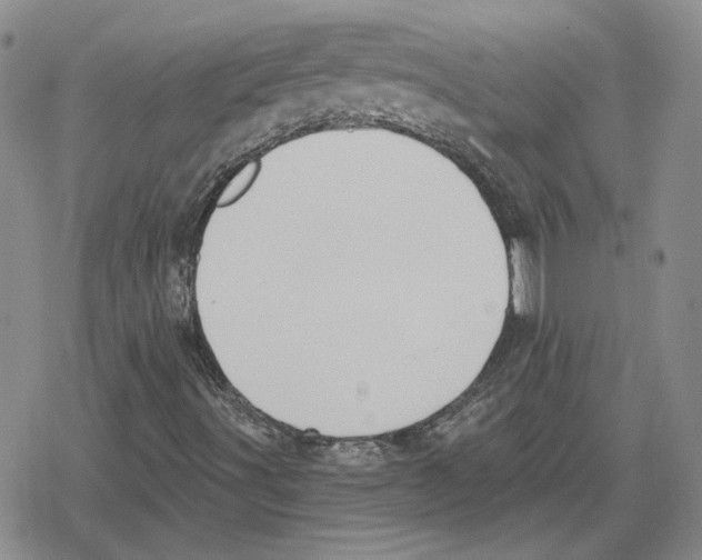 X0000079311491200612151739