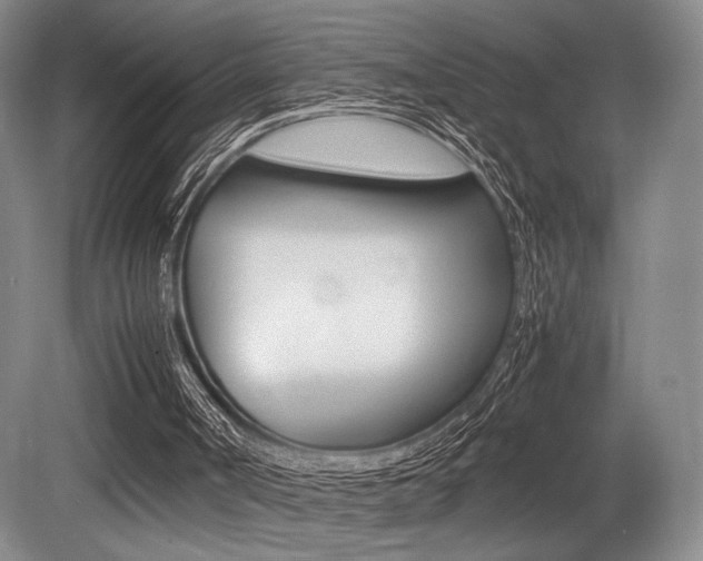 X0000079320002200611170942