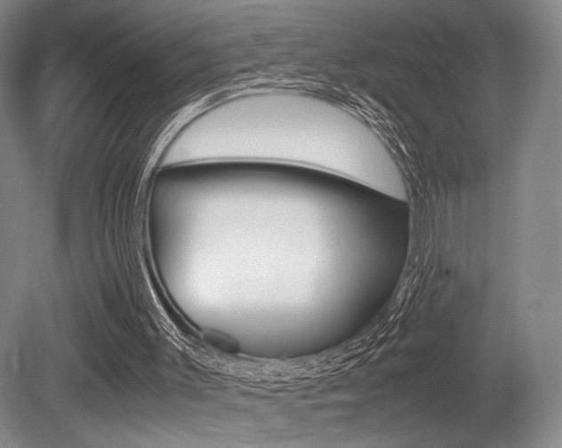 X0000079320003200611170942