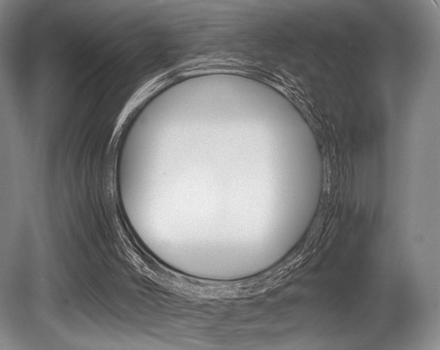 X0000079320004200611170942