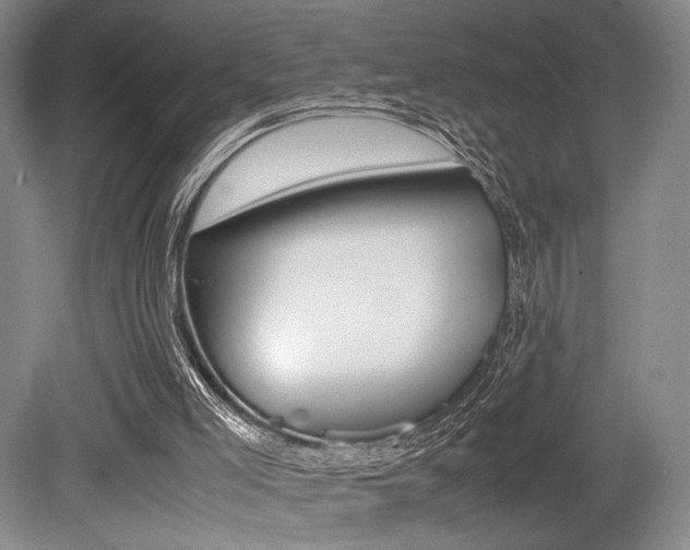 X0000079320005200611170942