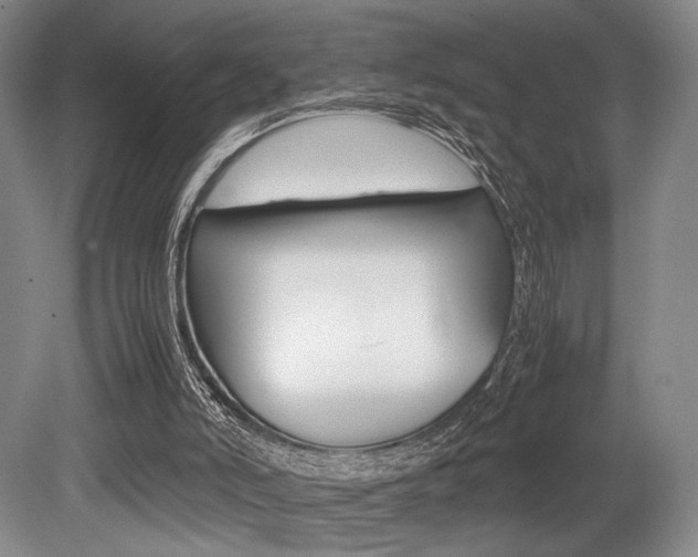 X0000079320006200611170942