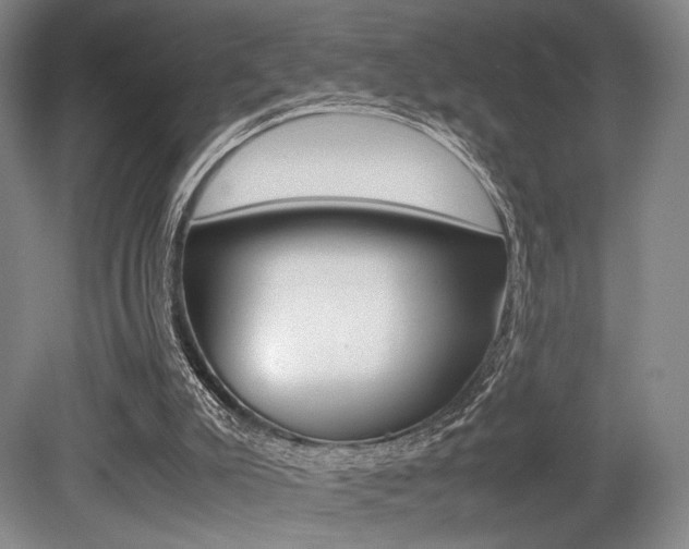 X0000079320007200611170942