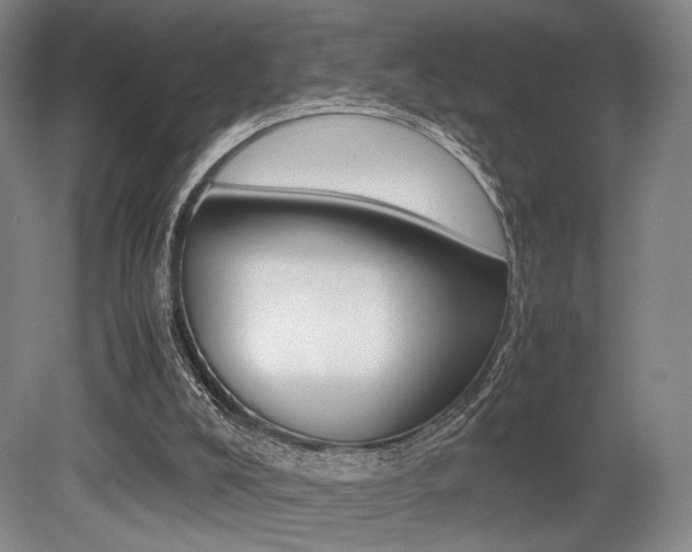 X0000079320008200611170942
