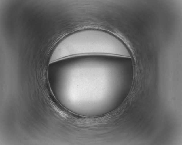 X0000079320009200611170942